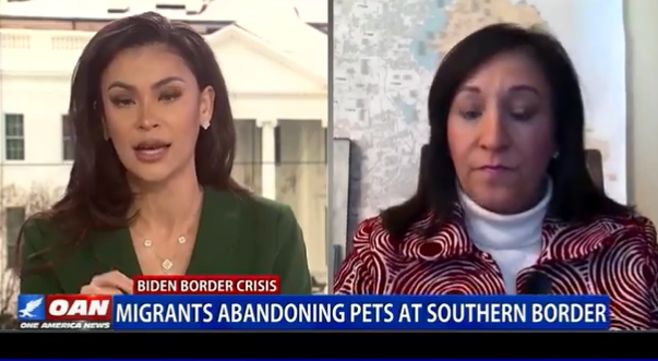 Urgent Call for Action: Abandoned Pets Crisis at U.S.-Mexico Border ...