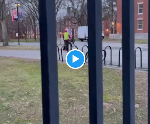 Harvard employees caught in the act of tearing hostage posters. On the ...