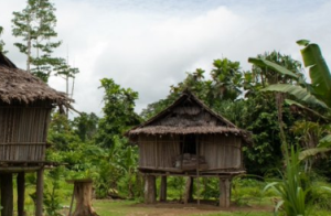 Massacre in Papua New Guinea - 26 Dead in Brutal Attack Due to ...